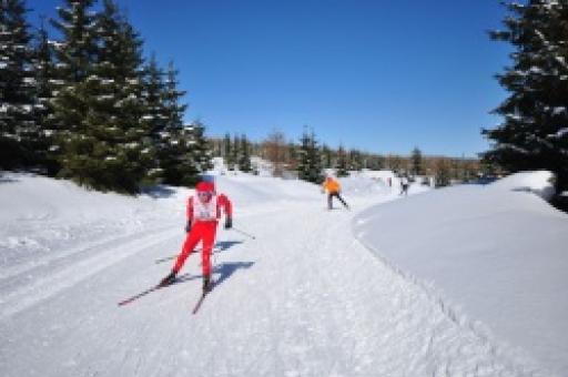 On Cross-country Skis Without Borders