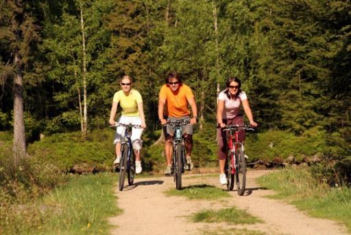 Mountain Bikes in Harrachov