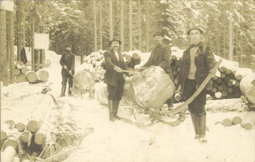 History of Harrachov