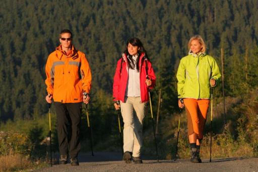 Harrachov Is an Ideal Place for Nordic Walking